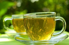 Cẩn thận khi sử dụng quá nhiều trà xanh