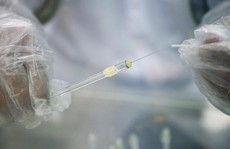 Cặp song sinh khỏe mạnh từ tinh trùng trữ đông… 26 năm