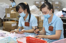 Lạc quan đơn hàng xuất khẩu