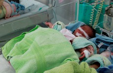 Bỏ con sơ sinh trước cửa nhà người hay nhặt thi thể chôn cất