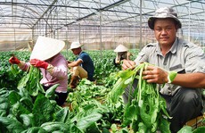 Nông nghiệp soán 'ngôi vương' kênh đầu tư 2017