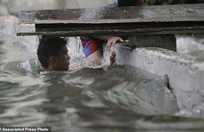 Bão vừa đổ bộ, người dân Philippines ngụp lặn trong nước lũ