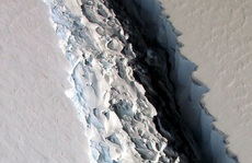 Tảng băng lớn bằng một quốc gia sắp vỡ ra từ Nam Cực