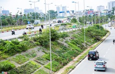 Kiểu trồng rau 'có 1 không 2' của người Hà Nội