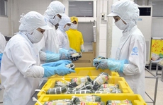Tham vọng của đại gia Hàn Quốc thâu tóm Cầu Tre
