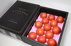 Cà chua Hoàng gia Nhật 1,6 triệu đồng/kg