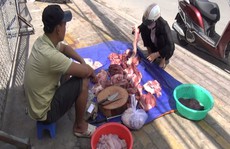 Dân tự 'giải cứu' heo, cơ quan chức năng lo heo bệnh trà trộn