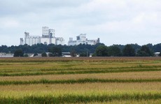 Mỹ lần đầu xuất gạo sang Trung Quốc