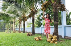 Vườn cây ăn trái 4 tỉ đồng như công viên của bà mẹ 2 con tại TP HCM