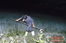 Về Nghệ An nín thở đi săn 'chân dài' trong đêm