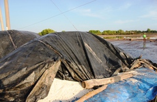 Diêm dân không còn “mặn mà” với muối
