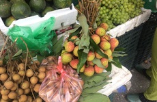 Vải đầu mùa gần 100.000 đồng/kg, đắt gấp 7 lần giá gốc