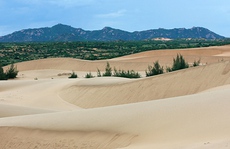 Bạn nên đến Ninh Thuận vào mùa hè này!