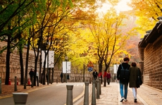 Con đường dính lời nguyền chia tay người yêu ở Hàn Quốc