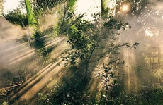 Việt Nam đẹp đến 'thổn thức' dưới mắt nhiếp ảnh gia người Anh