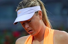 Mất suất đến Pháp, Sharapova bỏ cuộc ở Rome Open