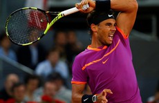 Hạ Goffin, Nadal hẹn Djokovic ở bán kết Madrid Open