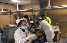 Vụ hổ vồ chết ở Trung Quốc: Do trèo tường trốn vé