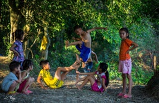 Chuyện lũ trẻ xóm Dừa…