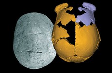 Phát hiện 'loài người mới' ở Trung Quốc, nửa người nửa Neanderthal