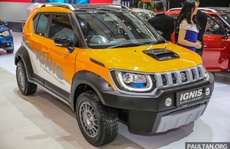 Suzuki giới thiệu mẫu xe giá rẻ chỉ từ 237 triệu đồng