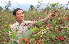 Lão gàn thành triệu phú