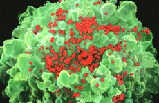 Tìm ra loại thuốc khiến con người bớt sợ HIV
