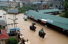 Nepal: Lũ lụt nghiêm trọng, người dân sơ tán bằng voi