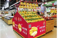 Bầu Đức mở rộng diện tích trồng chuối, thu hẹp mảng ớt