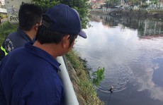 Nhảy cầu Chà Và tự tử trước sự ngỡ ngàng của nhiều người