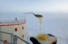 Hiện tượng gì xảy ra khi nấu ăn ở Nam Cực?