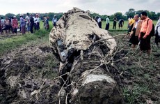 Myanmar: Rơi cùng lúc 2 chiến đấu cơ Trung Quốc sản xuất, 3 người chết