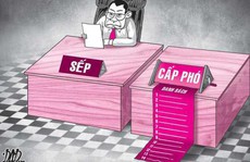 Giám đốc sở xin thêm cấp phó: 'Không đủ lãnh đạo đi họp'