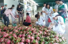 Việc làm ý nghĩa