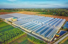 Làm nông nghiệp không thể đi một mình!