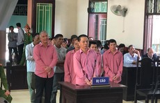 Xử vụ phá rừng lớn nhất Bình Định: 9 “lâm tặc” nhận 81 năm tù