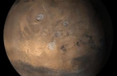 'Thủy tổ loài người' đang sống trên Sao Hỏa?