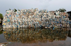 Châu Âu tẩy chay đồ nhựa dùng một lần