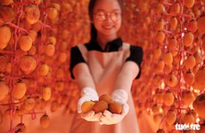 Hồng treo gió kiểu Nhật cứu cả ngành hồng Đà Lạt Hồng treo gió kiểu Nhật cứu cả ngành hồng Đà Lạt