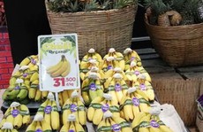 Đỏ mắt tìm trái cây organic Việt