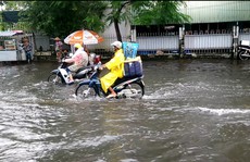 Cà Mau: Đường biến thành “sông” sau cơn mưa như trút nước