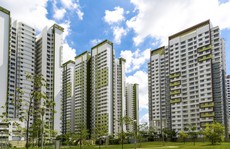 Các đô thị chuẩn Singapore có gì?