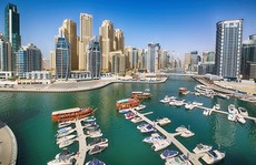 Giới siêu giàu Arab kiếm tiền thế nào?