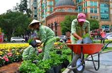 Cổ phần hóa ngày càng chậm
