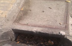 Phải mạnh tay với trộm đăng chắn rác