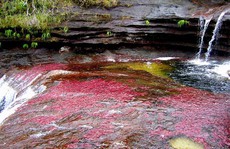 Khó tin nhưng có thật: Sông có 5 màu biến đổi theo mùa