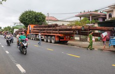 Không có giấy tờ, 4 xe container chở cả trăm mét khối gỗ khủng bị bắt giữ