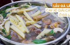Lẩu gà lá é cay xè giải cảm ở Đà Lạt