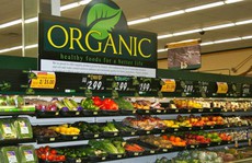 Cơn 'khát' rau củ, trái cây organic