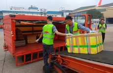 Ném gói hàng, 2 nhân viên bốc xếp ở sân bay Tân Sơn Nhất bị sa thải